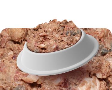 PAEX Menü BARF Lachs 