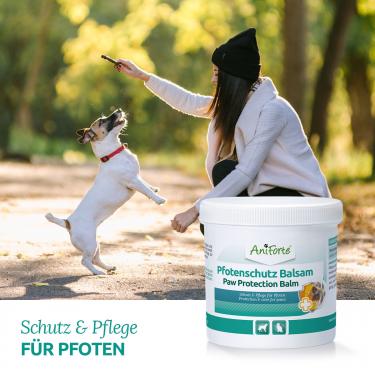 AniForte Pfotenschutz Balsam 