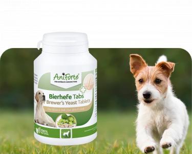 AniForte Bierhefetabs 