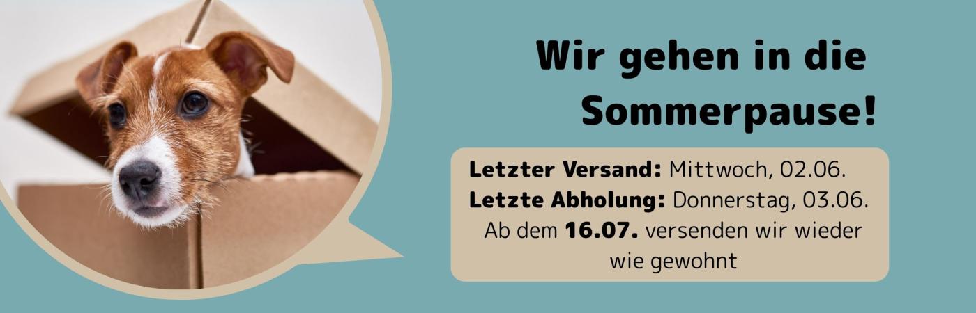 Sommerpause2025