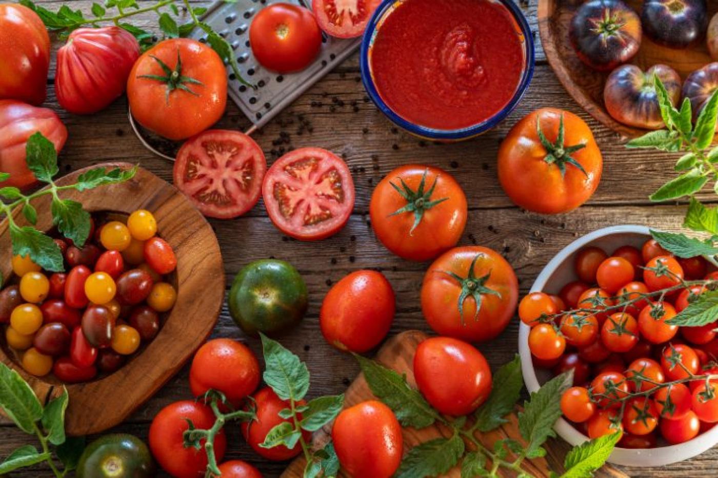 Dürfen Hunde Tomaten essen?