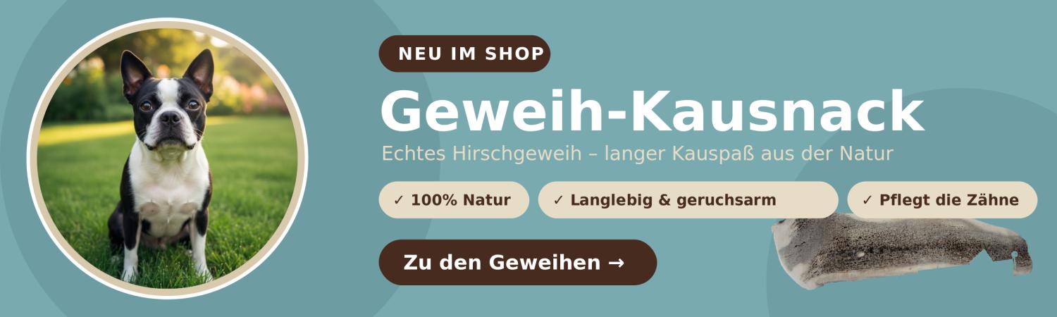 Hirschgehwei