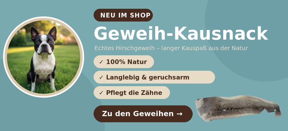 Hirschgehwei