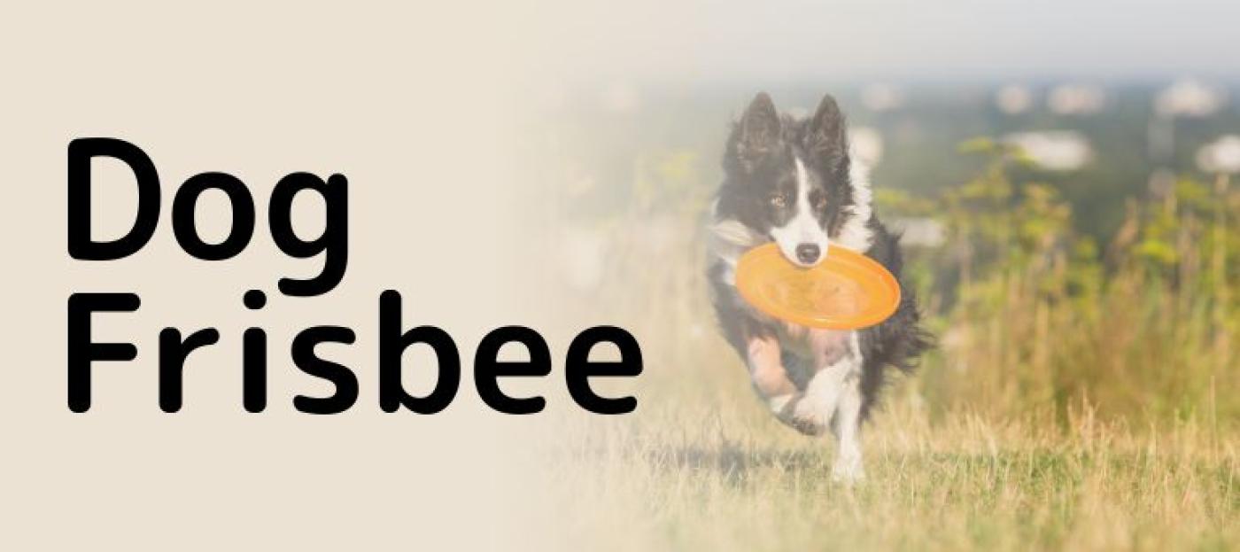 Hundesport Dog Frisbee