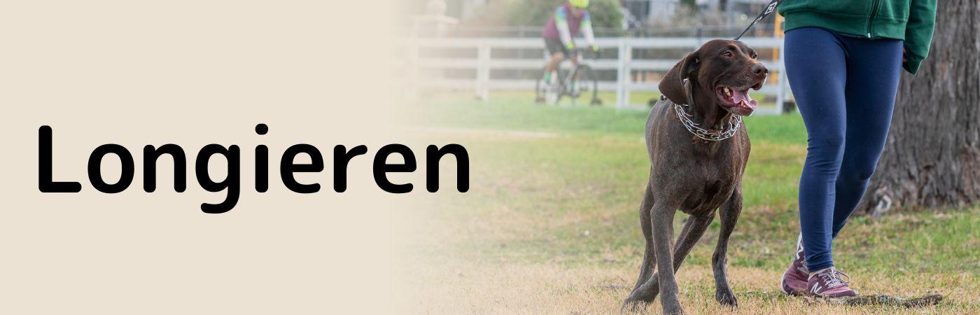 Hundesport Longieren