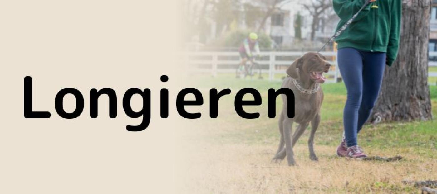 Hundesport Longieren