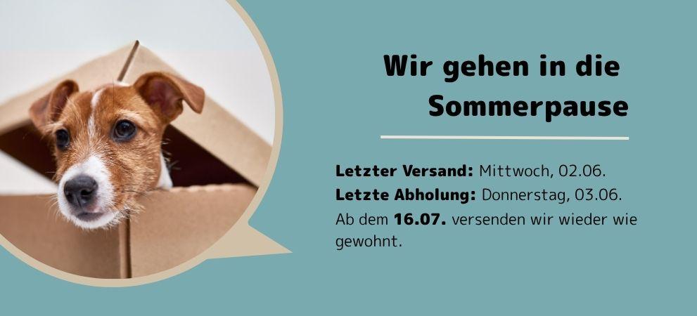 Sommerpause2025