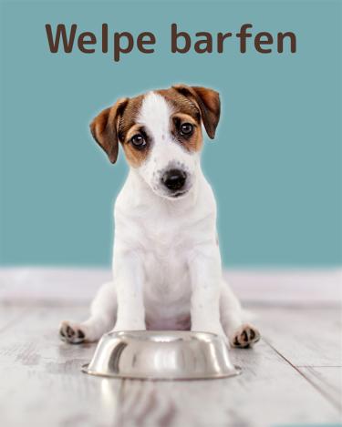 Welpen barfen