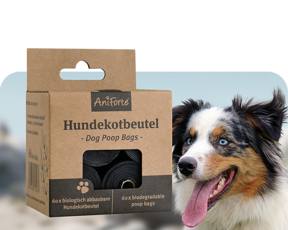 hochwertige kratzbume fr grosse katzen Kratzbaum fr grosse Katzen  Extra stabil & robust  pandaloo.ch
