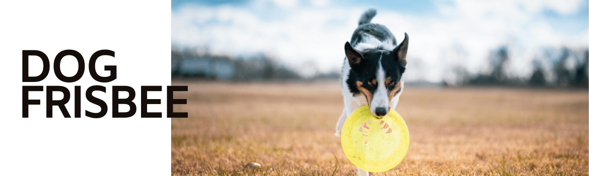 BARF - Dog Frisbee - Hundesport